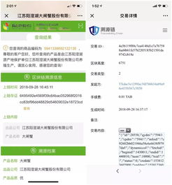 區塊鏈應用遍地開花 30大場景落地引領商用時代加速到來